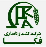 زفکا با رشد بهره‌وری و توسعه مجتمع ماکو، سود ۳۸۰ ریالی به ازای هر سهم تقسیم کرد