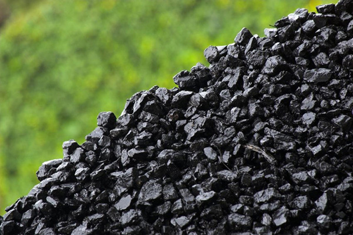 دلیل صف خرید زغال سنگی ها چیست؟