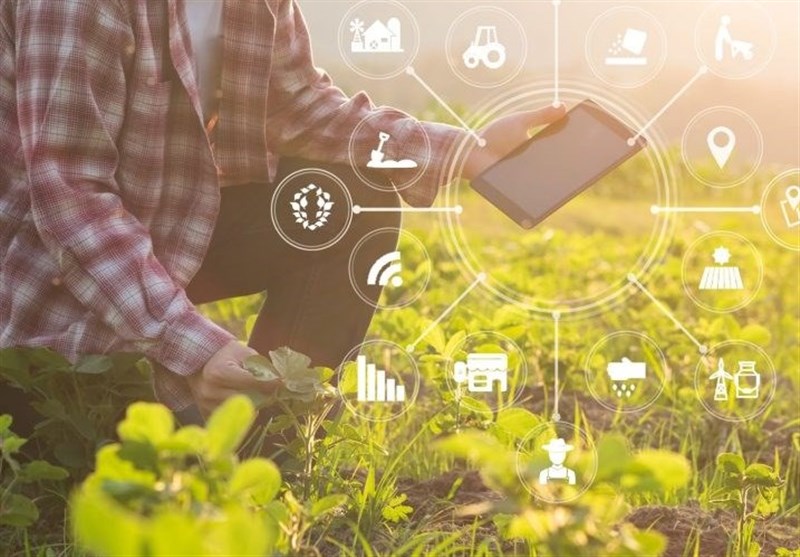  «فضای مجازی، تهدید یا فرصت؟»|افزایش بهره وری در بخش کشاورزی با دیجیتالی شدن کشاورزی 